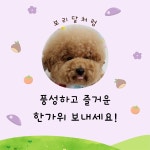 멍플랙스 | 작가 피드