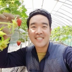 오케이딸기농장 | 판매중인 작품 오케이딸기농장