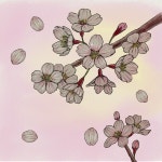 하이제제(hi jj) | 작가 피드