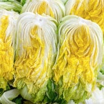 [나누리김치] 맛있는 국내산 착한 백김치 3kg