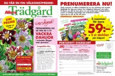 Allers Trädgård - 3 nr + 5 st dahlior för bara 59 kr*! by Flashpaper.se - Issuu Allers Trädgård - 3 nr + 5 st dahlior för... 