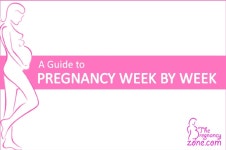 Pregnancy Week By Week Guide by Alan Steve - issuu Pregnancy Week By Week Guide