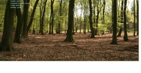 het bos by Paul Corthouts - Issuu het bos