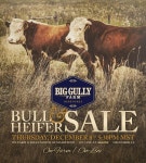 Big Gully Farm Hereford Sale 2016 by Big Gully Farm - Issuu Big Gully Farm Hereford Sale 2016  