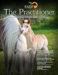 Practitioner Issue 1, 2020 by FVMA - Issuu Practitioner Issue 1, 2020