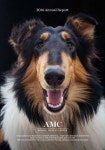 AMC Annual Report 2016 by AMCNY - Issuu AMC Annual Report 2016
