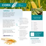 grupoagrinews Publisher Publications - Issuu