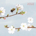 Issuu