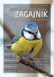 Zagajnik nr 4 (64) zima 2021 by Ośrodek Kultury Leśnej w Gołuchowie - Issuu Zagajnik nr 4 (64) zima 2021
