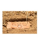 ego/ gaia . Isabelle Catucci by I Catucci - Issuu ego/ gaia . Isabelle Catucci