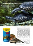 ENG Vademecum Terrarysty 2022 by Tropical Tadeusz Ogrodnik - Issuu ENG Vademecum Terrarysty 2022