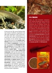 ENG Vademecum Terrarysty 2022 by Tropical Tadeusz Ogrodnik - Issuu ENG Vademecum Terrarysty 2022