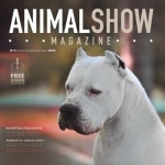 V15n6 by Freesurf Magazine - Issuu V15n6 
