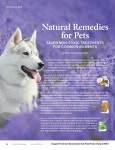 March 2023 Natural Awakenings Magazine Milwaukee by Natural Awakenings Milwaukee Magazine: Natural MKE - Issuu March 2023 Natural... 