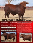 Bank of Red Semen Directory by Red Doc Farm - Issuu Bank of Red Semen Directory