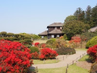 東京近郊のおすすめ観光スポット10：歴史と自然を楽しむ日帰り旅行 - LIVE JAPAN (日本の旅行・観光・体験ガイド)... 