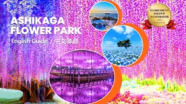 [Ibaraki] Spring limited flower viewing day tour｜Wisteria Story Ashikaga Flower Park Wisteria & Kamiso Torii & Ibaraki Hitachi... 