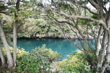 2026년 한국 제주도 필수 관광 명소 | 제주도 8대 인생샷 스팟 포인트: 서귀포천문과학문화관, 감낭오름 등 더 많은 명소 보기 - KKday 2026년... 