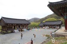 및 만연사(화순) 등 8개가 넘는 여행 꿀팁 - KKday 한국 전라남도 숨은... 인스타 명소 추천, 용천사(함평) 및 만연사(화순) 등 8개가 넘는 여행 꿀팁