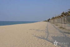 상동꼴두바우 및 인스타 명소 정보 - KKday 한국 강원도 추천 명소... 렌트카 여행에 빠질 수 없는 명소인 육향산, 상동꼴두바우 및 인스타 명소 정보