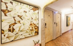 고양 주교 아망 - KKday 고양 주교 아망