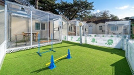 제주 댕댕이 애견 펜션 블랙 - KKday 제주 댕댕이 애견 펜션 블랙