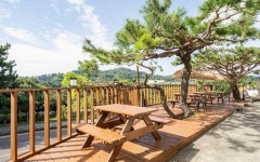 오렌지 호텔 제주 - KKday 오렌지 호텔 제주