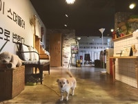 순천 게스트하우스 느림 - KKday 순천 게스트하우스 느림