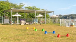 yeosu canada meo village pet pension - KKday yeosu canada meo  village pet pension