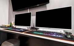 제천 캣츠 호텔 - KKday 제천 캣츠 호텔