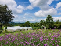 Phu Phrom Dao Farmstay - KKday Phu Phrom Dao Farmstay