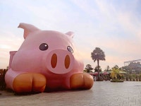 Chiayi Three Little Pigs Leisure Farm Ticket - KKday Chiayi Three Little Pigs Leisure Farm Ticket