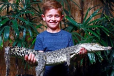 Cairns ZOOM and Wildlife Dome Admission | Australia - KKday Cairns ZOOM and Wildlife Dome Admission | Australia
