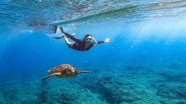 소류구 스노클링 체험 (활동사진 증정) - KKday 소류구 스노클링 체험 (활동사진 증정)