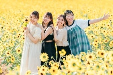 세라코겐 농장 - 화려한 꽃 투어(세라 고원 농장, 꽃 마을 하나유메노사토, 소라노 하나바타케 세라코겐 꽃의 숲, 세라후지 정원)(히로시마현)... 