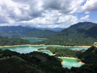 스딩 일일 투어 | 천도호 & 팔괘 차 농장 & 션컹 라오제 | 타이베이 출발 - KKday 스딩 일일 투어 | 천도호 & 팔괘 차 농장 & 션컹 라오제 | 타이베이... 