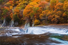 목욕, 두부 껍질 정제 체험 (도쿄 출발) - KKday 군마 일일 버스 투어... 후키와라 폭포 산책, 오이가미 온천 목욕, 두부 껍질 정제 체험 (도쿄 출발)