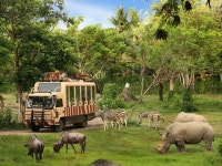 【Day tour】Bali Safari Jimbaran Day Tour - KKday 【Day tour】Bali Safari Jimbaran Day Tour
