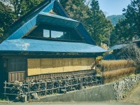 고민가 숙소 LOOF - KKday 고민가 숙소 LOOF