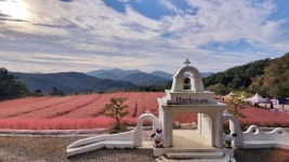 [서울출발&전세버스] 포천 당일치기 여행 | 포천아트밸리 | 허브랜드... 포천아트밸리 | 허브랜드 | 니지모리 스튜디오 | 산정호수 | 딸기체험... 