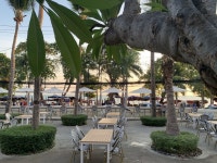 아발론8081커스텀 | Beach Kitchen by Avalon Beach Resort Pattaya (Pattaya) | 자동차 - KKday Beach Kitchen by Avalon Beach Resort Pattaya (Pattaya)...
