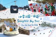 홍천 대명 비발디 리조트 스노우킹덤, 남이섬, 알파카 목장, 딸기 따기 일일 투어 (가족여행 + 어린이 스노우슈트 무료 제공) | 서울 출발 - KKday... 