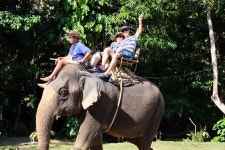 끄라비 - 열대우림과 코끼리 트레킹 Discovery by Van - KKday 끄라비 - 열대우림과 코끼리 트레킹 Discovery by Van