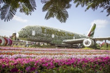 Dubai Miracle Garden - KKday Dubai Miracle Garden