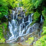 다이베이오인 절, 이치란 숲 - KKday 규슈 이토시마 숨은 명소 당일 여행: 이토시마 토토로 숲길, 시라이토 폭포, 사쿠라이, 후타미가우라, 메오토와... 