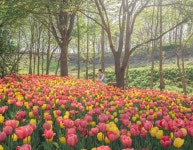 아산: 공세리 교회 & 꽃 축제 정상 & 500년 오암 마을 - KKday 아산: 공세리 교회 & 꽃 축제 정상 & 500년 오암 마을