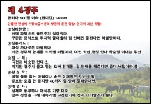 코리아레이스 경마제주인 전문가 게시판 읽기