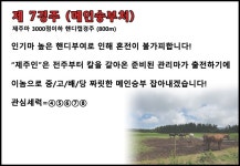 코리아레이스 경마제주인 전문가 게시판 읽기