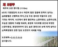 코리아레이스 경마제주인 전문가 게시판 읽기