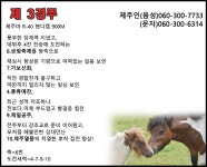 코리아레이스 경마제주인 전문가 게시판 읽기